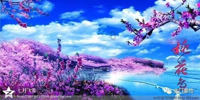 海底世界填颜色5
